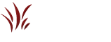 Sebenza LLC